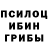 Псилоцибиновые грибы Magic Shrooms Dc Gray