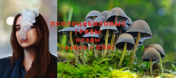 герыч Вяземский